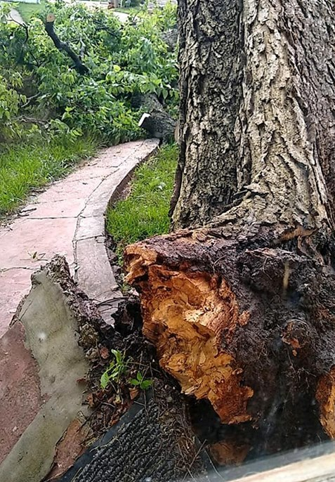 64985481_2358699857721825_6484902469473140736_n (3)